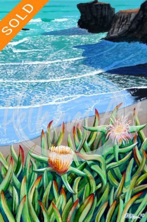 Coastal Cactus. Maori Bay, New Zealand 2010